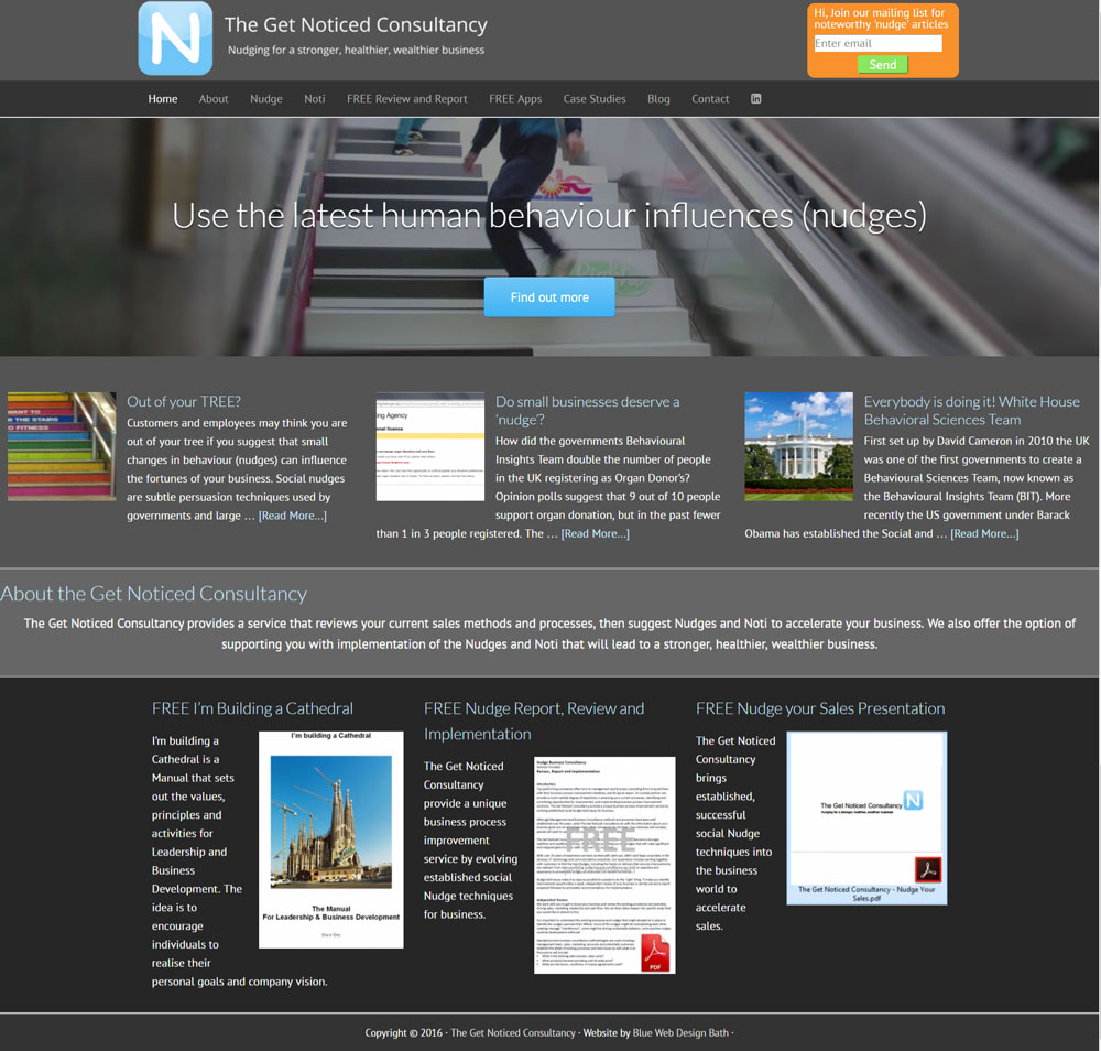 Business Consultancy Website design